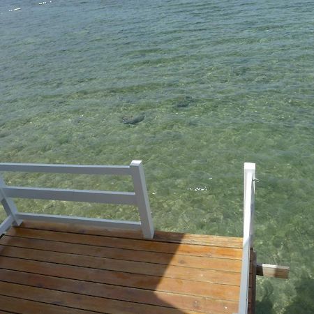 Bluefins Resort Lapu-Lapu City Dış mekan fotoğraf